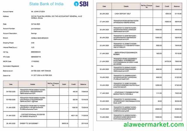 India State Bank of India account statement Word and PDF template, 2 pages, version 2